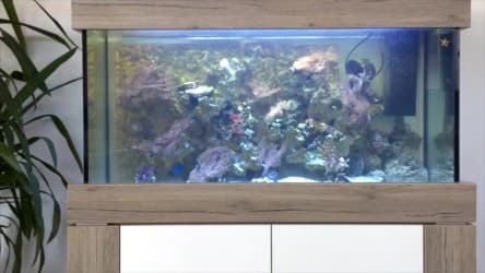 Automatische Scheibenreinigung an einem Aquarium