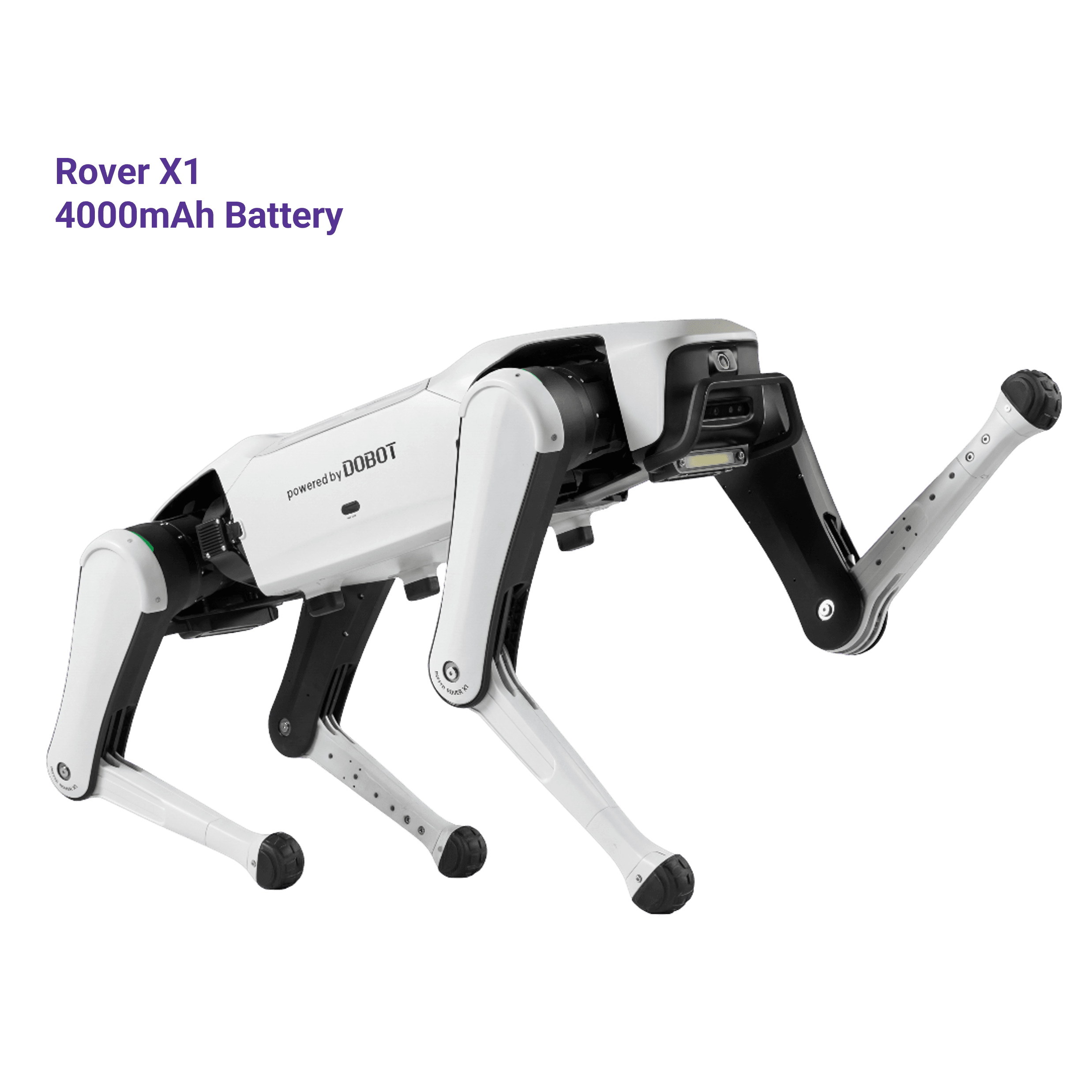 Dobot Rover X1 Serie | Roboterhund